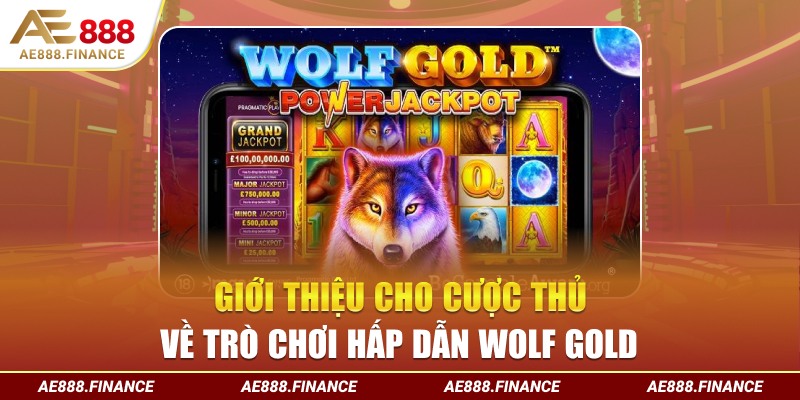 Giới thiệu cho cược thủ về trò chơi hấp dẫn Wolf Gold