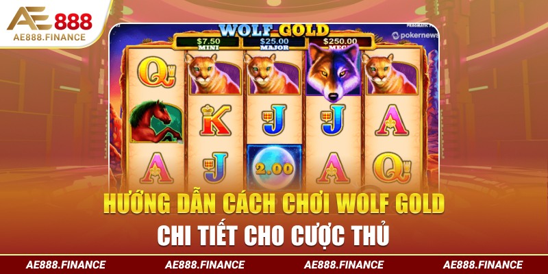 Hướng dẫn cách chơi Wolf Gold chi tiết cho cược thủ